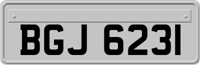 BGJ6231