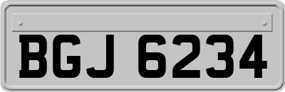 BGJ6234