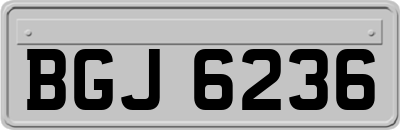 BGJ6236