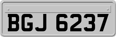 BGJ6237