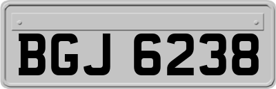BGJ6238