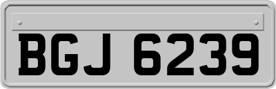 BGJ6239