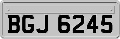BGJ6245
