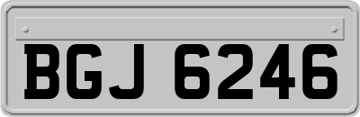 BGJ6246