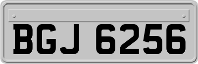 BGJ6256