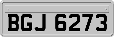 BGJ6273