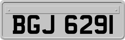 BGJ6291