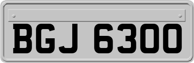 BGJ6300