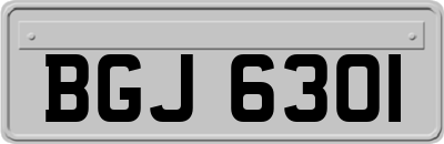 BGJ6301