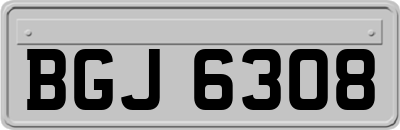 BGJ6308
