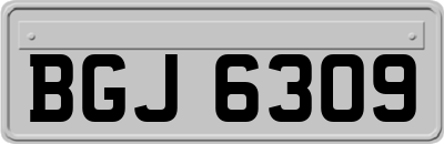 BGJ6309