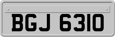 BGJ6310