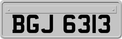 BGJ6313