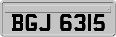 BGJ6315