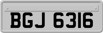 BGJ6316