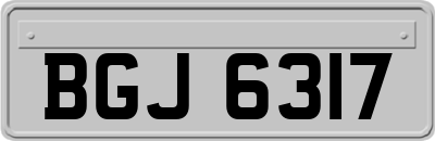BGJ6317