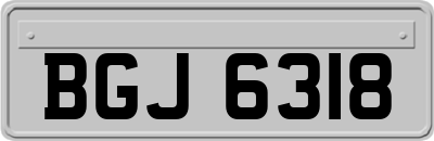 BGJ6318