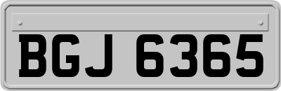 BGJ6365