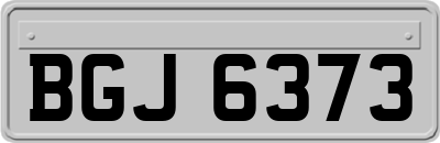 BGJ6373