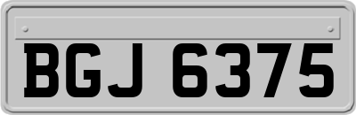 BGJ6375