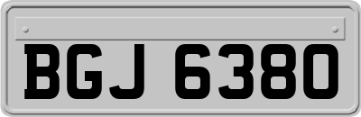 BGJ6380