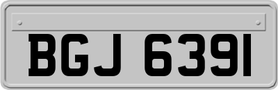 BGJ6391