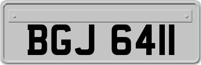 BGJ6411