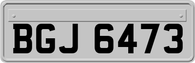 BGJ6473