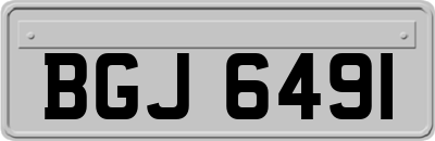 BGJ6491
