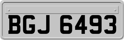 BGJ6493