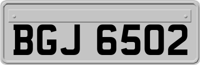 BGJ6502