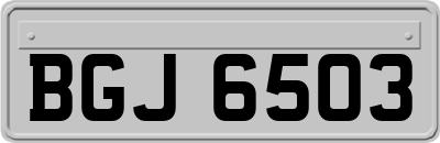 BGJ6503