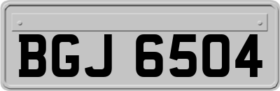 BGJ6504