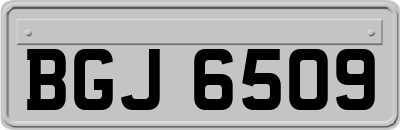 BGJ6509