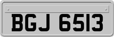 BGJ6513