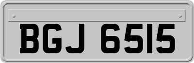 BGJ6515