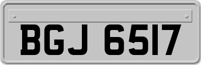 BGJ6517