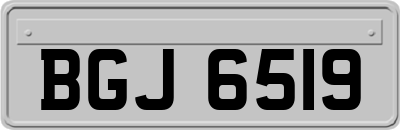 BGJ6519