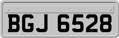 BGJ6528