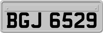 BGJ6529