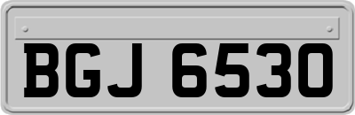 BGJ6530