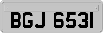 BGJ6531