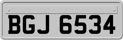 BGJ6534
