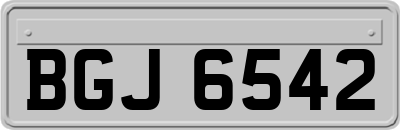 BGJ6542