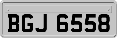 BGJ6558