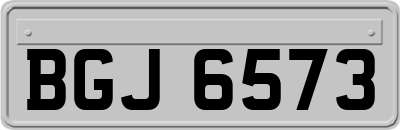 BGJ6573