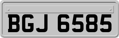 BGJ6585