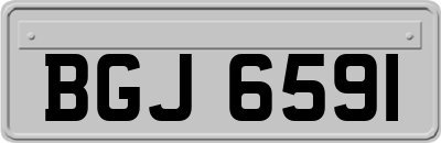 BGJ6591