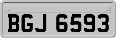 BGJ6593