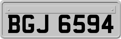 BGJ6594